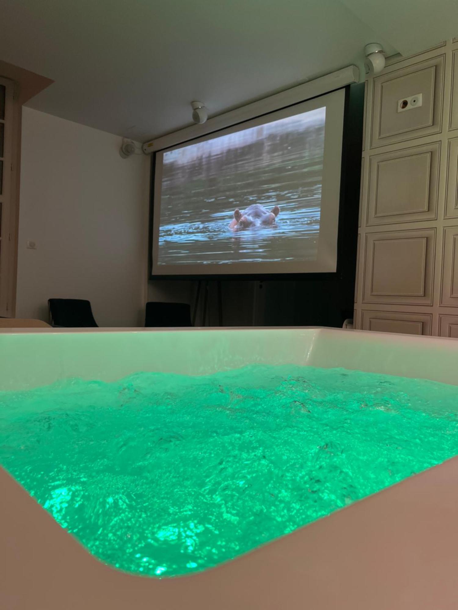 Appartement Avec Jacuzzi Sauna & Home Cinema - Nid D'Angers Zewnętrze zdjęcie
